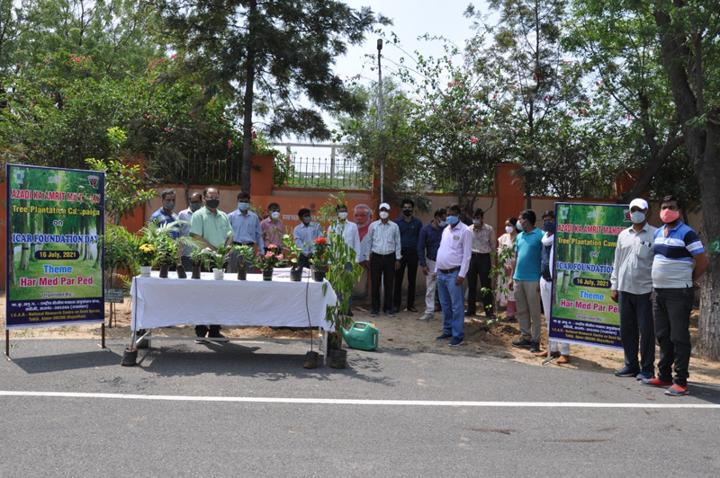 NRCSS